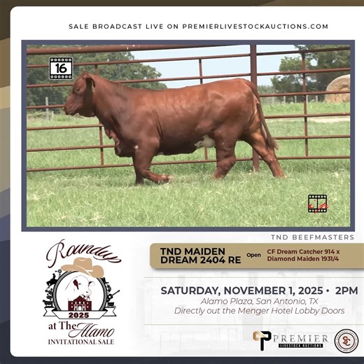 We’re making Beefmaster History and we want YOU to be a part of it with us! JOIN US Saturday, November 1st at 2:00 PM on Alamo Plaza for an unforgettable Beefmaster Event! The 2025 Roundup at The Alamo Sale, hosted by Beefmaster Breeders United — to be held in conjunction with the 64th Annual Beefmaster Breeders United Convention in the heart of San Antonio, Texas! This truly unique event, set against the backdrop of the Historic Menger Hotel and the Alamo — brings together legendary genetics, t