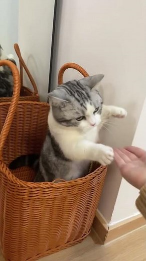 An epic hand-slapping battle of doom!