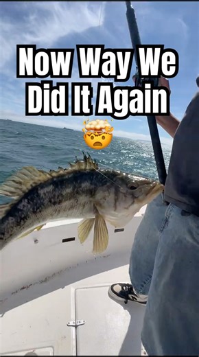 Caught Another Fish Using Pythagorean Theorem ￼😂