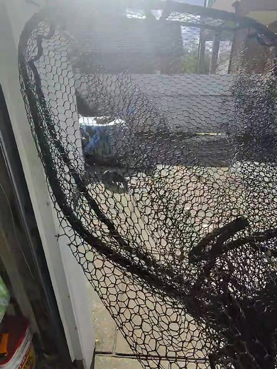 1.5K reactions · 21 shares | After this cat was spotted with a large abscess, I was summoned to catch her where she is being seen at the vet for medical treatment.  | John Debacker | Facebook