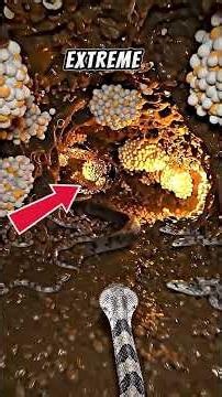 Black Mamba in a Hidden Underground Nursery | Snake POV Nature Documentary