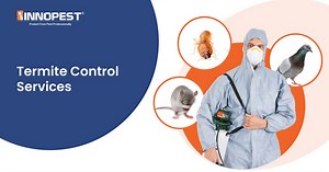 Professional Termite Control Services - 10 Year Program & Warranty | Innopest