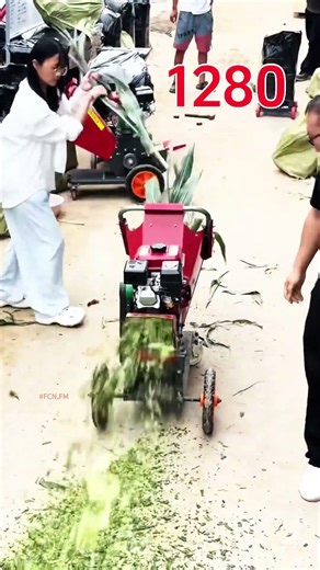 Testing efficient chaff cutter chopper #fcnfm #farmmachine