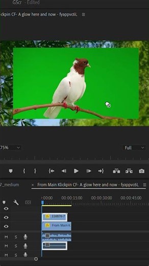 Green screen removal | Premiere Pro | Best way | Easy | Beginner | Video Editing | Viral | Trending