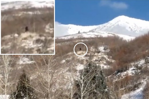 Shocked hunters film ‘Bigfoot’ stalking the mountains of Utah