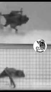 5.3K views · 52 reactions | Il pipistrello vampiro comune (Desmodus...