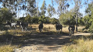 Hennops Hiking Trail / Picnic Spot on Reels