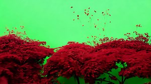 Download Red foliage against a vibrant green background for free