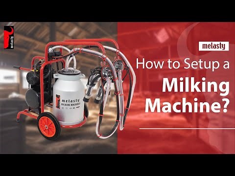 How to Set Up a Milking Machine