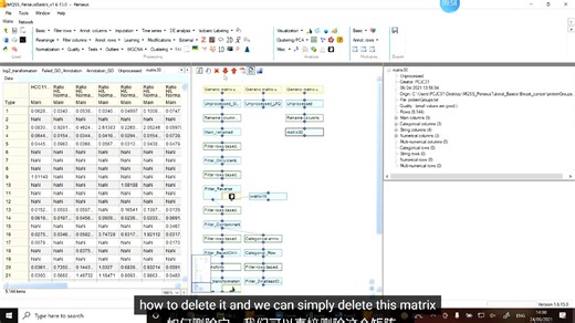 MQSS 2021 Perseus basics tutorial Franziska Traube