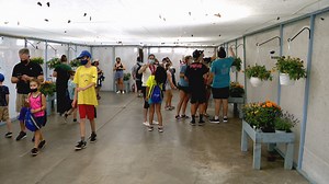 Check out the interactive butterfly exhibit at New York State Fair