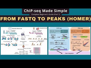 ChIP-seq Analysis: FASTQ to Peaks with HOMER, BWA & Picard Tutorial