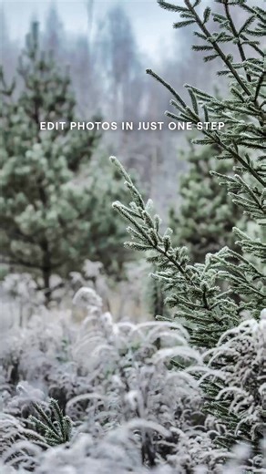 Take your mobile editing to the next level with full raw file support in Luminar Mobile. Edit like a pro, wherever you are. | Luminar Neo
