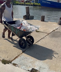 Emmanuel Williams on Reels