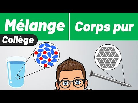 BLEND & PURE BODY ✅ How to differentiate them? 🎯 Middle school | High school