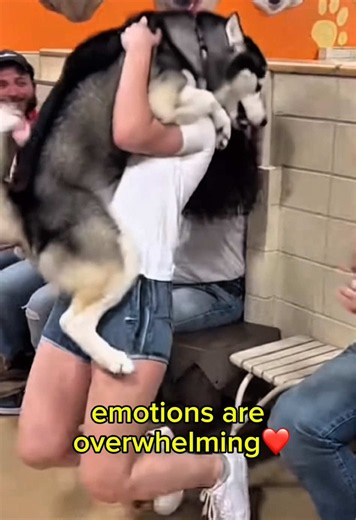 At this Shelter, Dogs chose their favorite person ❤️ #doglover #shelterdog #dogadoption #dogsoftiktok #usa
