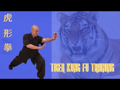 Tiger Kung Fu Training -Stronger & Faster