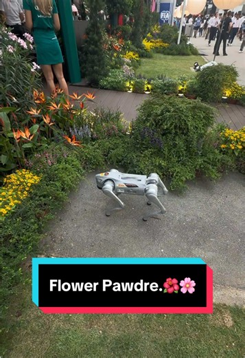 Flower Pawdre: Aston Martin F1’s Robotic Paddock Pooch at Singapore GP