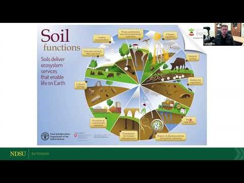 Does Soil Health Make a Difference in Producing Healthy Food? - NDSU Extension Field to Fork
