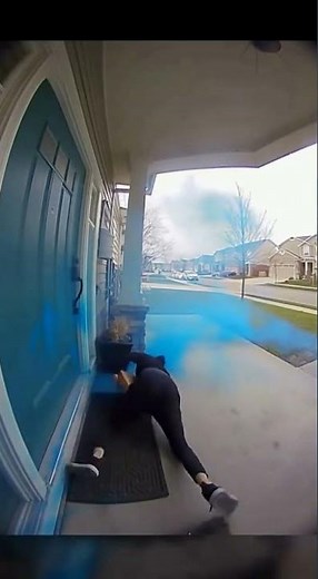 Porch Pirate Blasted by Blue Dye Trap #funny #bluedye #comedy #hairdye #haircolor