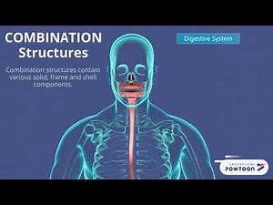 Classifying Structures