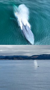 632K views · 16K reactions | Same moment, two different perspectives....