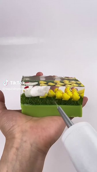 Mother Hen and Chicks Play with Taba Squishy