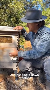 We're often asked, 'When do I add a second brood box?' 🐝 Watch here as Cedar explains on a recent live beekeeping Q&A. 🐝 Want to learn more about bees and beekeeping? 🌿 Join us for our weekly Live beekeeping Q&A with Cedar, Wednesday at 10am AEST (Tuesday, 5pm PDT) We're always here to help on your beekeeping journey! #quickcuts #liveQ&A #flowhive | Flow Hive