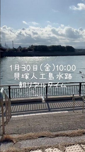 1/30 貝塚人工島水路 朝リアルタイム fishingmax二色の浜店