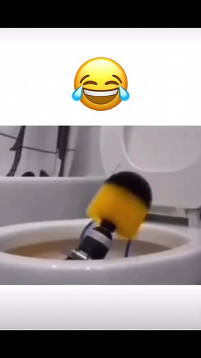 Funny Try Not to Laugh Clean Videos