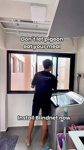 BLINDNET CAT MESH & BLIND on TikTok