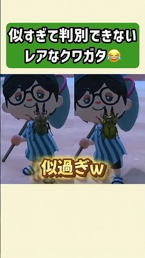 [Animal Crossing] These two rare stag beetles look so similar lol [Animal Crossing: New Horizons]...