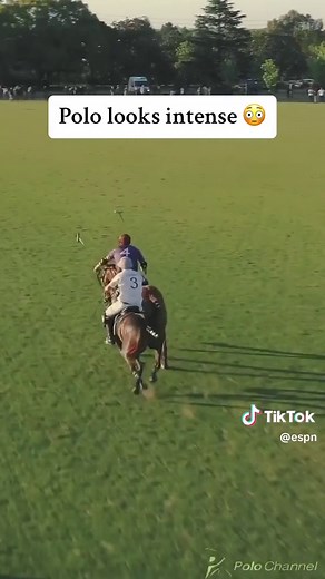Intense Polo Game on Horseback