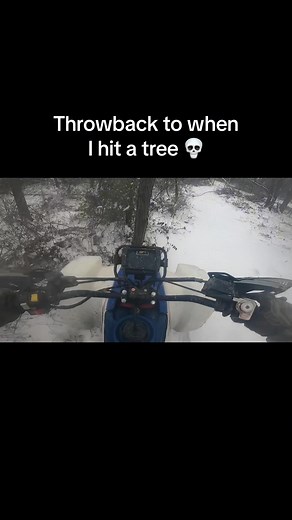 When a Tree Branch Falls: TikTok Funny Video