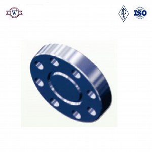 [Hot Item] API 6A Blind Flange Used in Oilfield