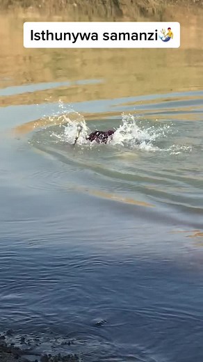 Exploring Water Activities in Natural Landscapes