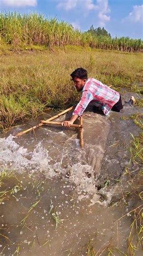 Traditional Fishing – Big Taki and Shing Under Green Grass.