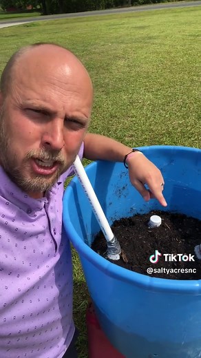 Growing Fruit Trees in Containers: A Complete Guide