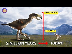 What Happened to the Terror Bird?