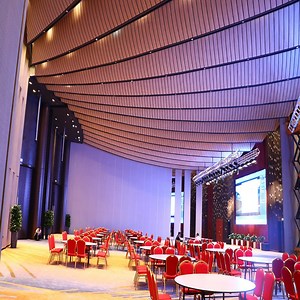 [Hot Item] Moveable Partition Wall System Acoustic Movable Wall Partitions Quality Foldable Partition Walls