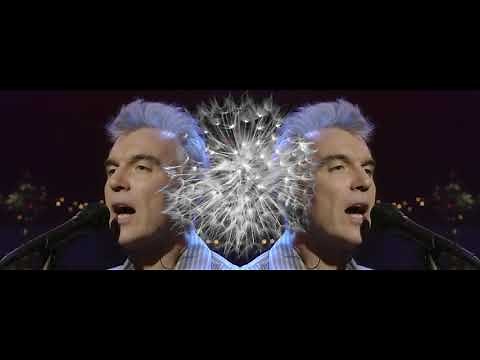 Talking Heads | David Byrne | Nothing But Flowers | Live HD Shift Blend