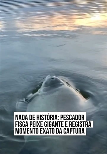 🐠👀😱 Registro Impressionante... Esqueça aquelas histórias de pescador que aumentam o tamanho do peixe: aqui a prova está gravada e é indiscutível. Em Inhaúma, na região Central de Minas Gerais, o pescador Luís Henrique viveu um dia de glória — e de muito suor — ao fisgar um peixe de proporções gigantescas que chocou a internet. O vídeo captura o momento exato em que o gigante vem à tona, mas o que a câmera não mostrou foi a verdadeira batalha de bastidores: segundo Luís, a briga com o animal d