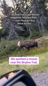 📍 Skyline Trail, Cape Breton Highlands National Park — near Pleasant Bay, Nova Scotia #cabottrail #capebreton #moose #cheticamp #pleasantbay | Robbie Jagonio
