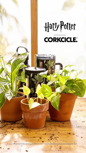 Just dropped NEW Harry Potter™ | Corkcicle Collection. Discover the secrets of magical flora with the new Harry Potter™ Herbology™ drinkware. #corkcicle #harrypotter