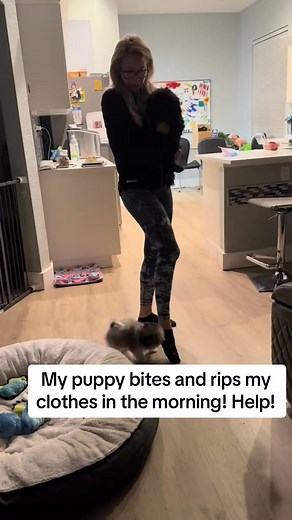 #DogTraining #puppybiting #doghelp #puppytraining #fyp #245 | Jamie Diaz