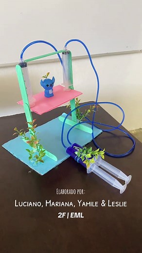 Elevador Hidráulico: Principio de Pascal en Maqueta