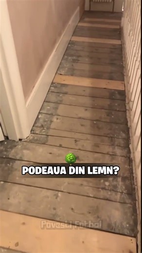 Ce podea pui acasa
