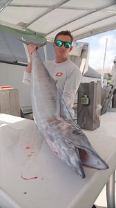 It’s hard to beat fresh wahoo! Two recipes featuring Hot Sauce key lime habanero hot sauce and siracha honey! #wahoo #sashimi #seafood #tabanero #sushi #fishing #fishrecipe | Landshark Outdoors