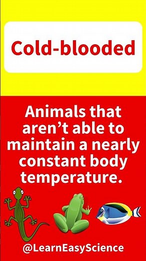 What are COLD-BLOODED animals? 🤔 | Easy cold-blooded animals explanation & example