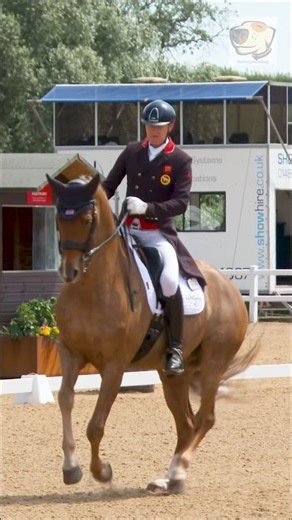 Gareth Hughes and Mowgli at Hartpury FOD #dressage #equestrian